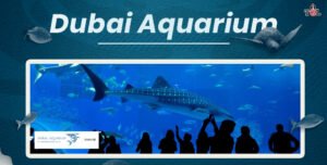 Dubai Aquarium